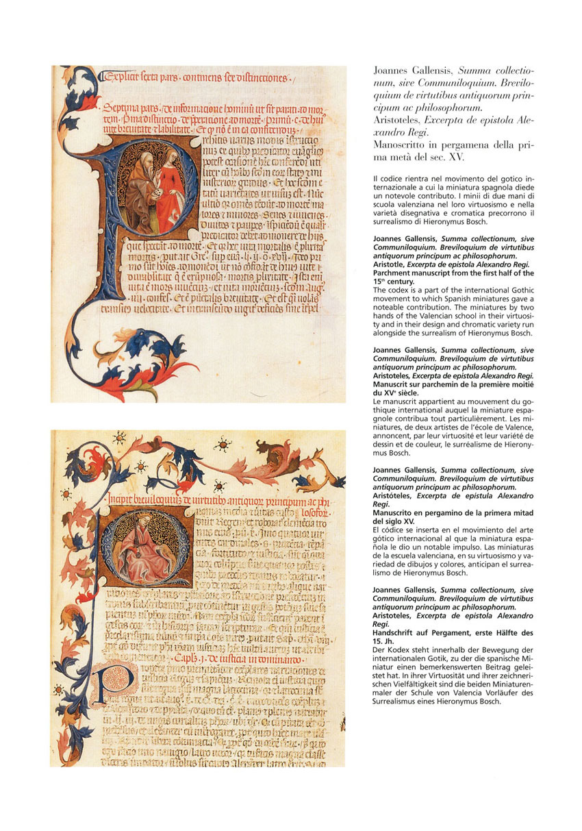 Joannes Gallensis 22