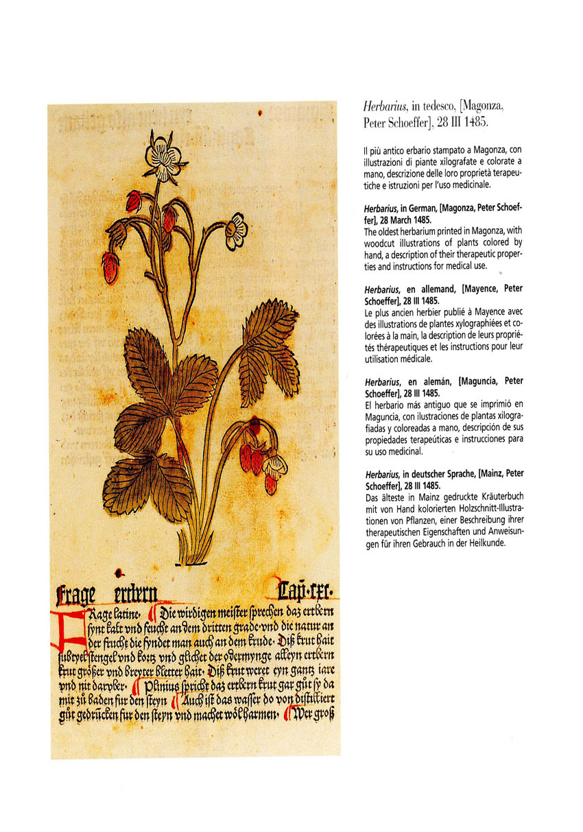Herbarius 39