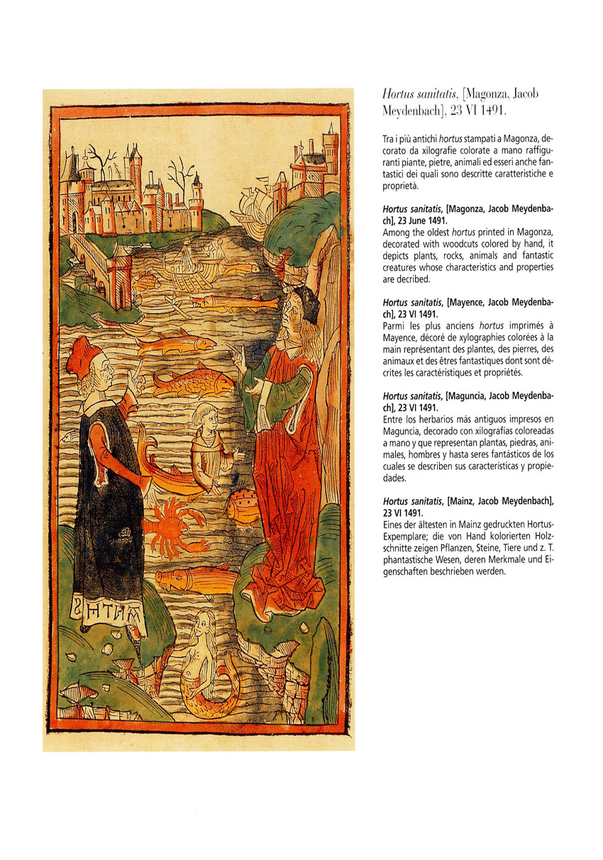 Hortus 40