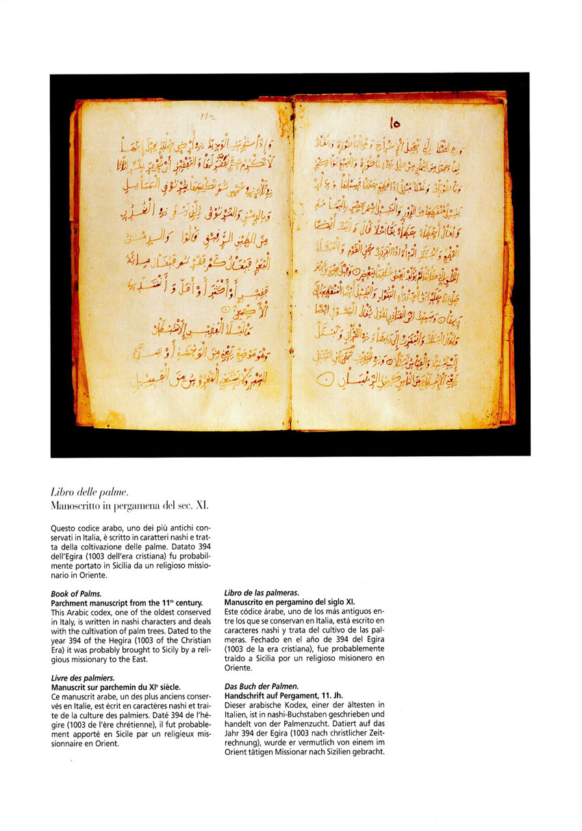 Libro delle palme 100